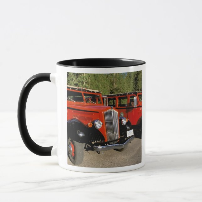 Tasse L'Amérique du Nord, Etats-Unis, Montana. Classique (Gauche)