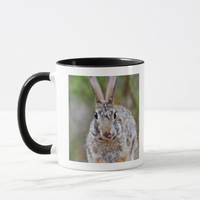 Tasse Lapin de lapin du Texas (Gauche)