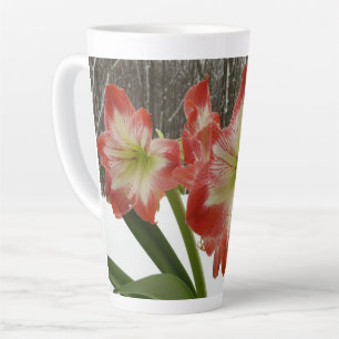Tasse Latte Amaryllis en Fête Rouge Neige Hiver Floral