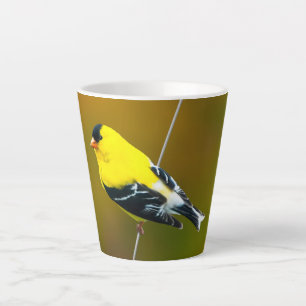 Tasse Latte American Goldfinch - Photo originale