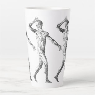 Tasse Latte Anatomie humaine vintage, Muscles du corps masculi