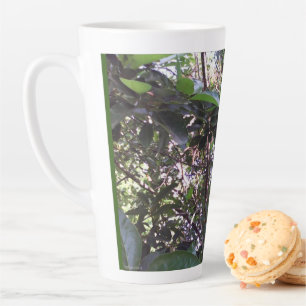 Tasse Latte Arbre Avocado