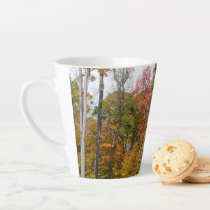 Tasse Latte Automne dans la forêt Colorée Photographie d'autom