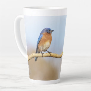 Tasse Latte Bluebird