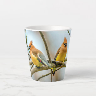 Tasse Latte Cèdre - Photographie originale