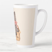 Chat dans la boîte