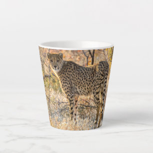 Tasse Latte Cheetah regardant autour