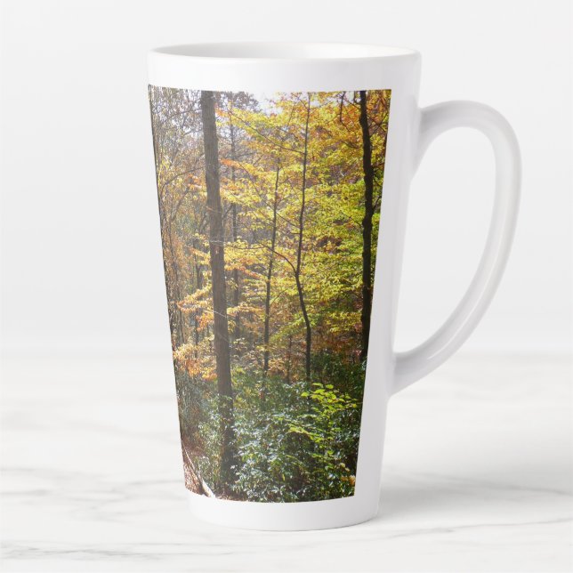 Tasse Latte Chute Sunlit dans le parc national de Laurel Hill (Droite)