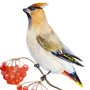 Tasse Latte Écirage d'oiseaux de la forêt d'aquarelle