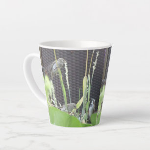 Tasse Latte Éperviers mignons en latte du jardin