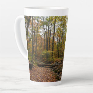 Tasse Latte Fall Creek à Laurel Hill State Park Pennsylvania