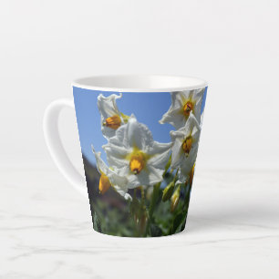 Tasse Latte Fleurs étoilées Solanum tuberosum