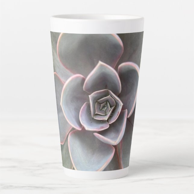 Tasse Latte Green Echeveria Fermer (Devant)