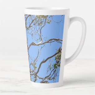 Tasse Latte Koala Nap