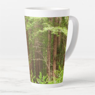 Tasse Latte Les séquoias au monument national de Muir Woods