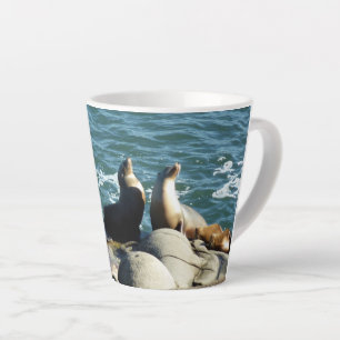 Tasse Latte Lions de la mer de San Diego