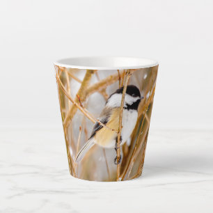 Tasse Latte Mésange à tête noire - Photographie originale