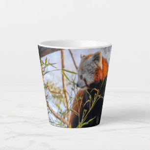 Tasse Latte Panda rouge