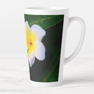 Tasse Latte Photographie de fleurs de plumeria