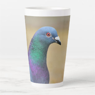 Tasse Latte pigeon Colorful Feather Bird Photographie Portrait