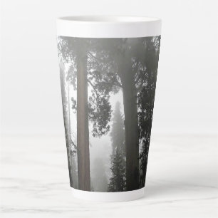Tasse Latte Séquoia géantes dans le brouillard, CA