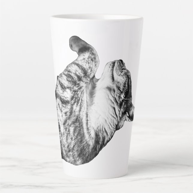 Tasse Latte Siesta citrouille épice (Devant)