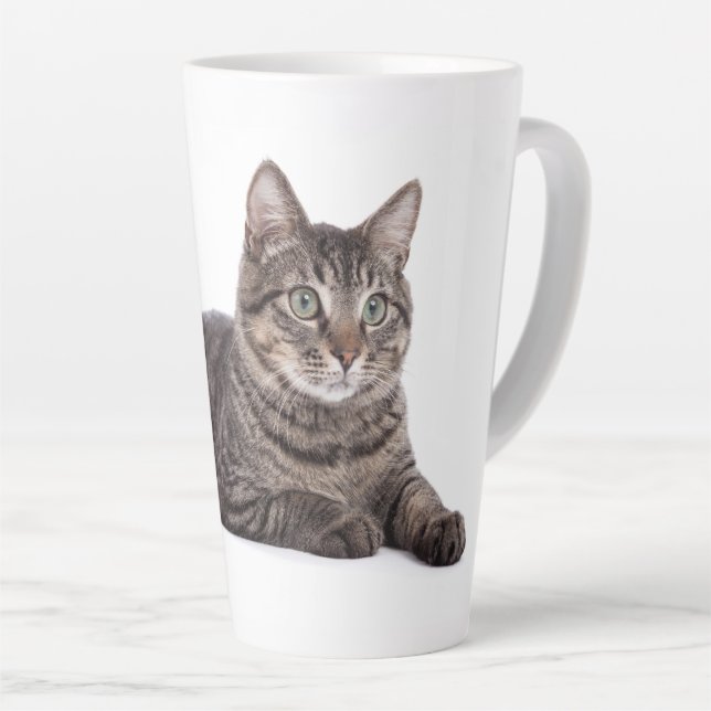 Tasse Latte Tabby Gris (Angle droit)