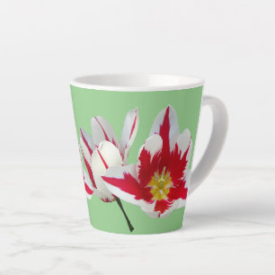 Tasse Latte Tulipes Blanches Rouges Fermer Lumineuses Touttes