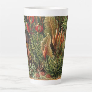 Tasse Latte Vintage Plante Haeckel