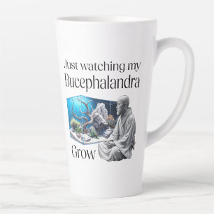 Tasse Latte Zen and Bucephalandra