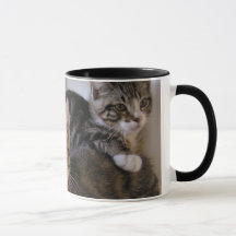 Laurie, Larry et Louie