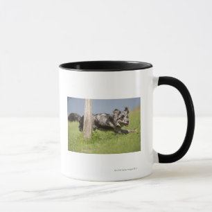 Tasse Le berger pyrénéen va autour du poteau
