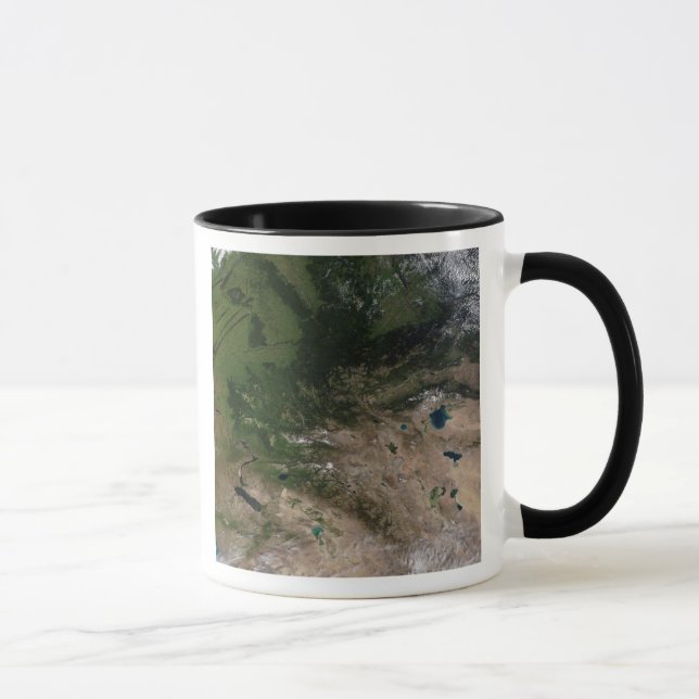 Tasse Le changement de végétation (Droite)