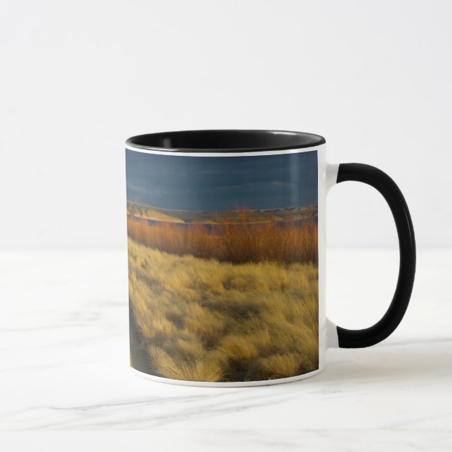 Tasse Le coucher de soleil met en valeur l'écorce rouge  (Droite)