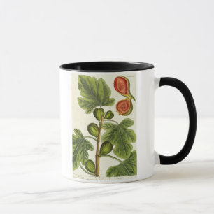 Tasse Le figuier, plaquent 125 "d'un de fines herbes