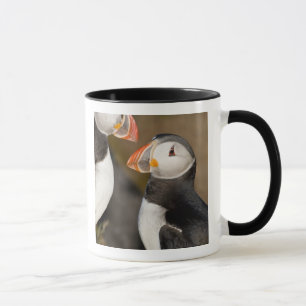 Tasse Le Macareux Atlantique