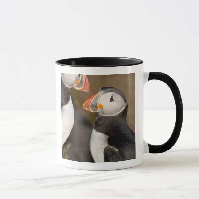 Tasse Le Puffin Atlantique (Droite)