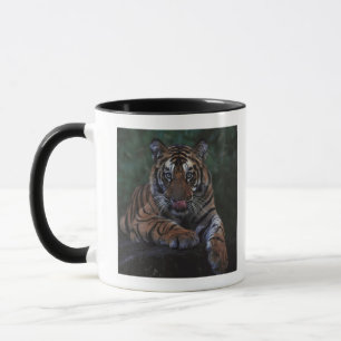 Tasse Le tigre CUB repose sur la roche