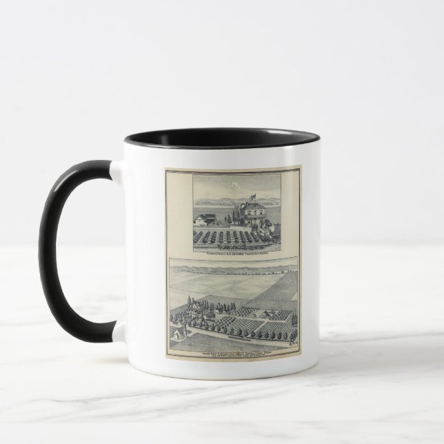 Tasse Le vignoble de Hedge Row, Fresno (Gauche)