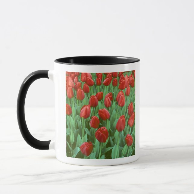 Tasse Les champs de tulipes fleurissent au printemps. (Gauche)