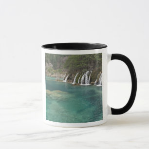 Tasse Les dépôts minéraux font des cascades et une eau c