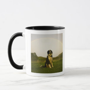 Tasse Les Etats-Unis, le Colorado, nouveau château