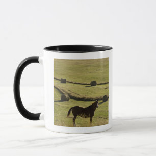 Tasse Les Etats-Unis, le Colorado, Steamboat Springs,