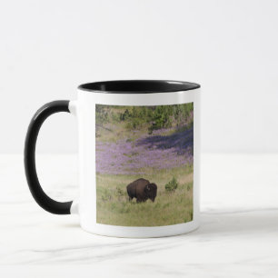 Tasse Les Etats-Unis, le Dakota du Sud, bison américain