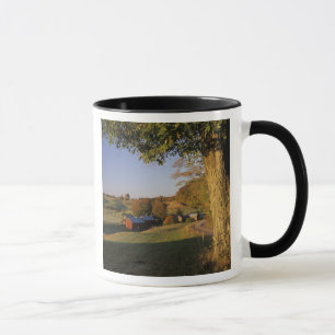 Tasse Les Etats-Unis, Vermont, Woodstock du sud, ferme
