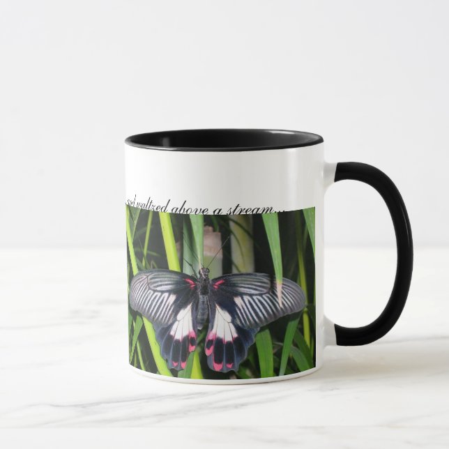 Tasse les papillons, deux papillons sont allés OU… (Droite)
