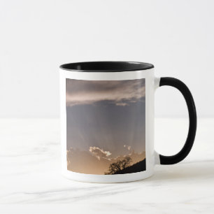 Tasse Les rayons crépusculaires rayonnent à travers le c
