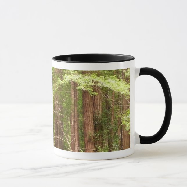 Tasse Les séquoias au monument national de Muir Woods (Droite)