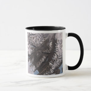 Tasse Les vallées sèches de McMurdo