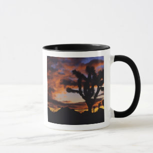 Tasse Lever du soleil spectaculaire à Joshua Tree Natio